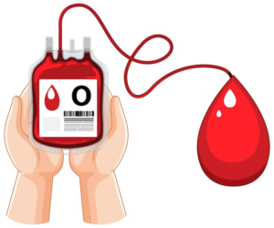 Blood Transfusions Services in Shalimar Garden